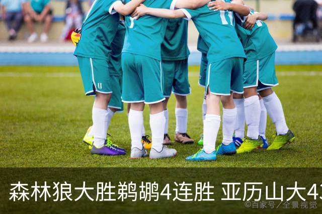 森林狼大胜鹈鹕4连胜 亚历山大43分雷霆克骑士