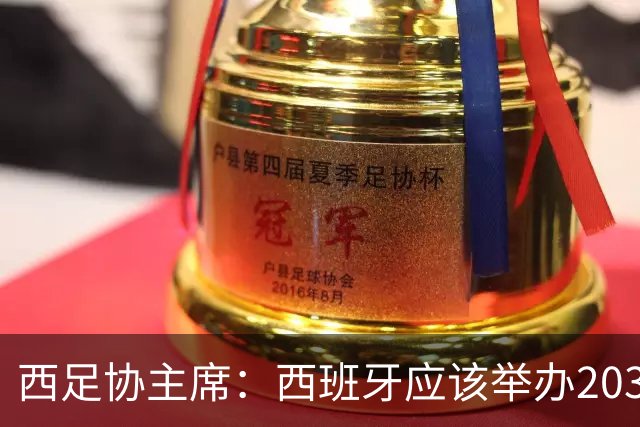 西足协主席：西班牙应该举办2030世界杯决赛，我们各方面条件最优