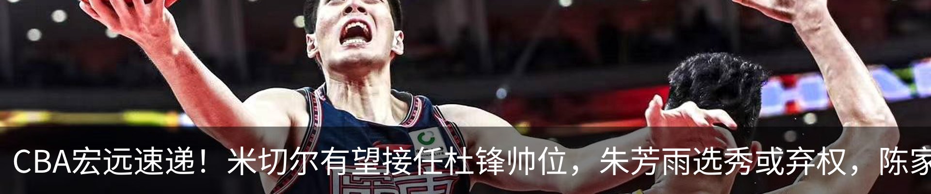 资讯动态